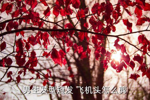 男神飛機頭發(fā)型,飛機頭最新發(fā)型瘦臉男生最愛...